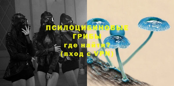 2c-b Покачи