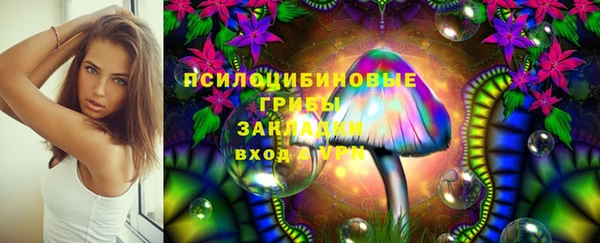 метадон Армянск