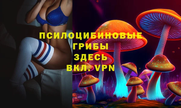 каннабис Аркадак